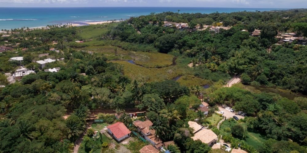 WhatsApp Image 2024-07-25 at 08.42.49